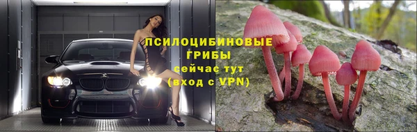 apvp Балахна