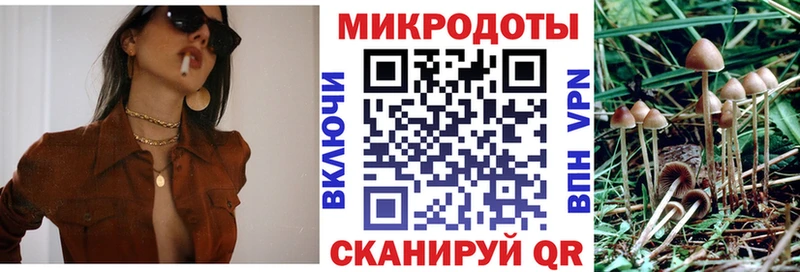 ОМГ ОМГ ONION  Ворсма  Псилоцибиновые грибы Psilocybine cubensis  закладка 