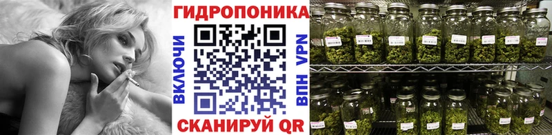 Конопля конопля  Ворсма 